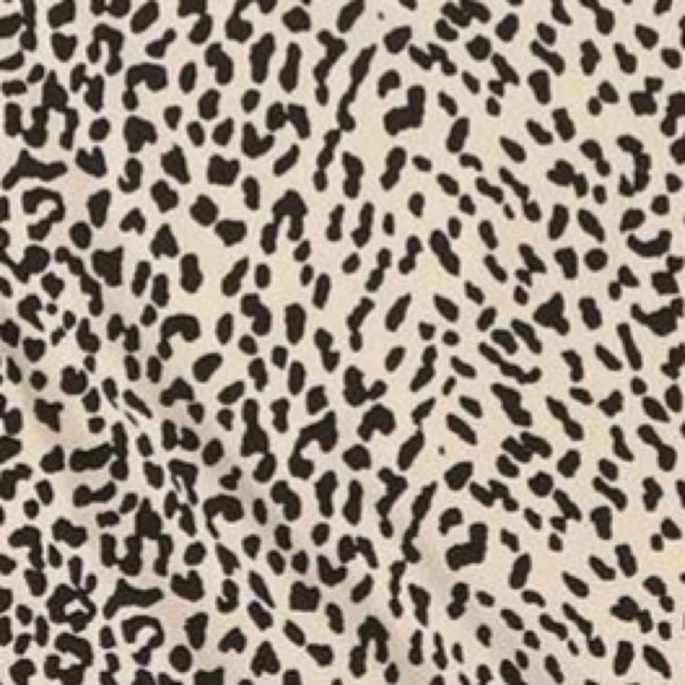 Meet your Posher, Jae